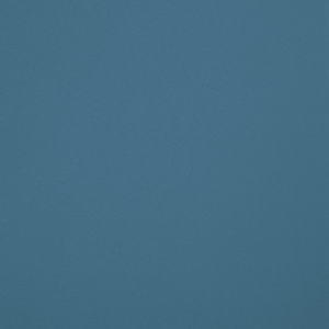 Riviera Swatch